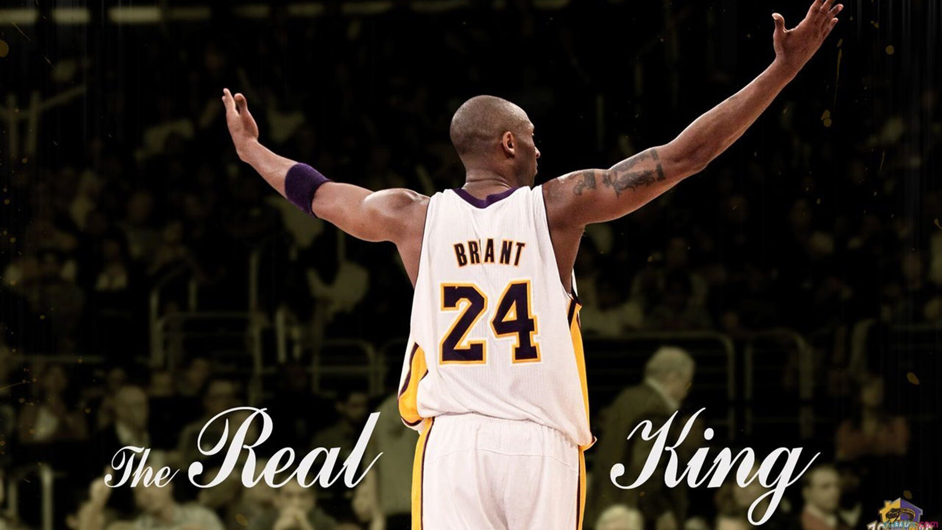 开云体育官方入口-Genshin Impact竞技赛创新内容公布，粉丝期待，genskin impact